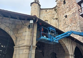 Los elementos se han colocado en las zonas de bancos y accesos para evitar que las aves aniden en estos puntos.