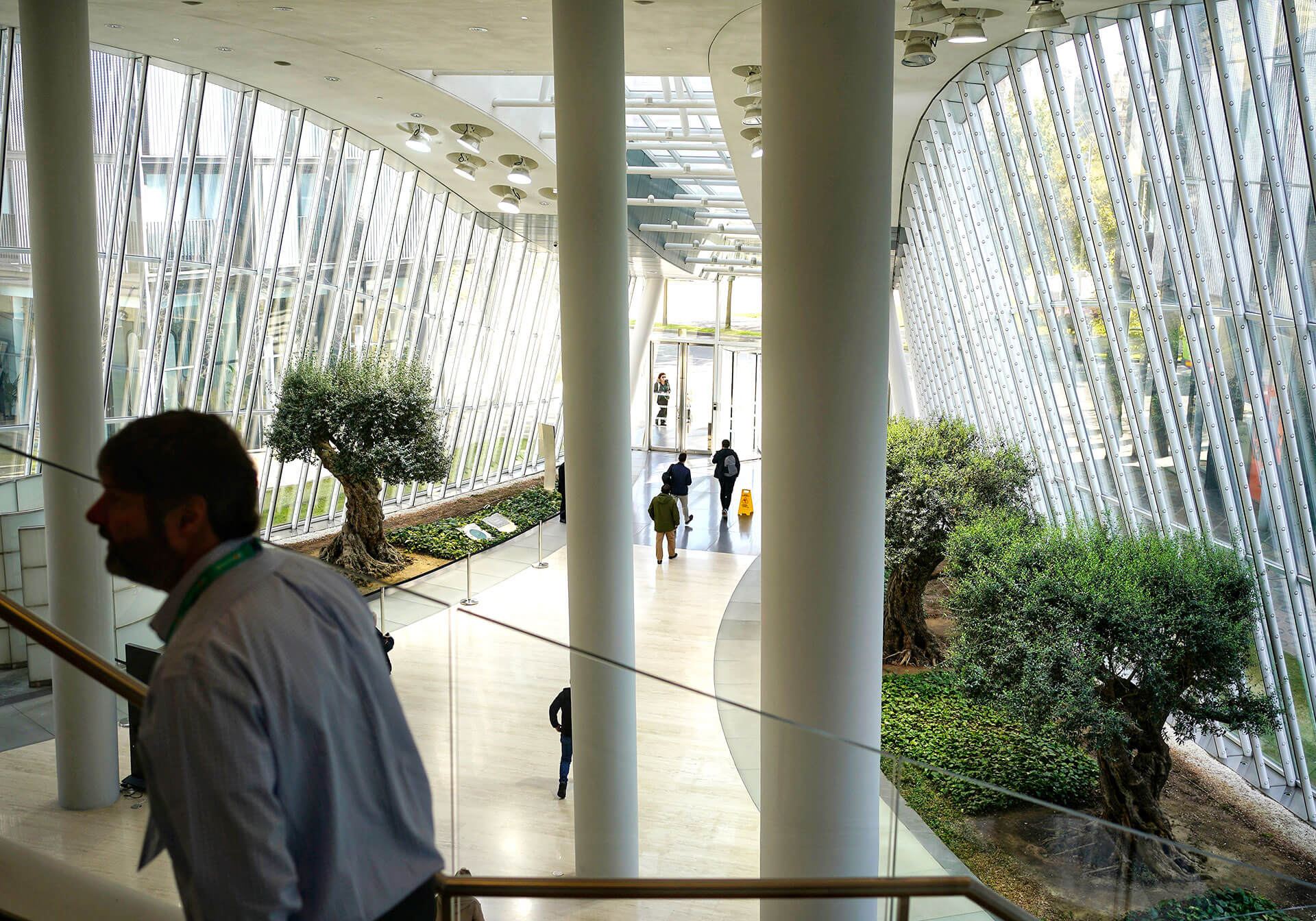 Panorámica dl 'lobby´de la Torre Ibedrola, con olivos en los parterres