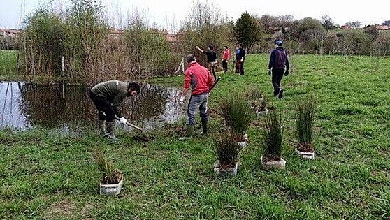 Sopela regenerará la vega de Urko para ampliar el Anillo Verde