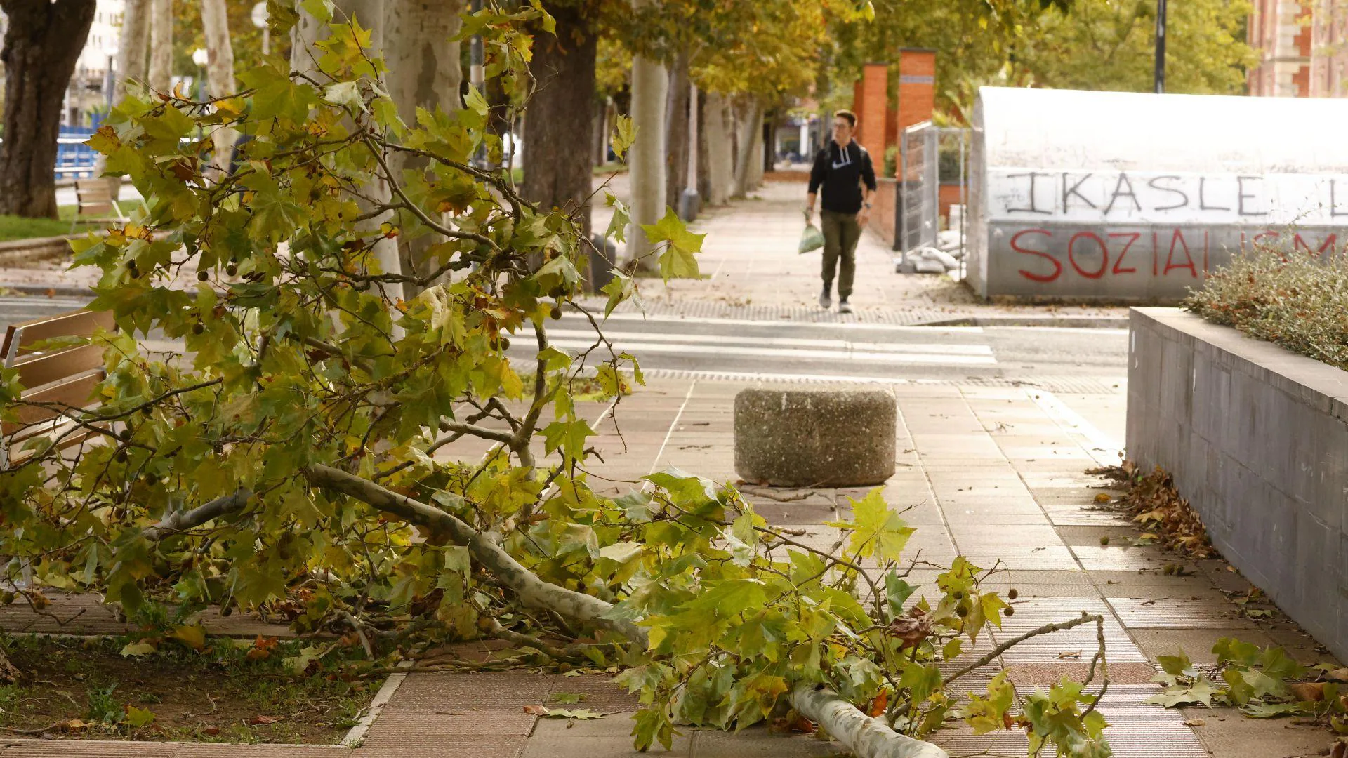 Aviso amarillo por vientos de hasta 100 kilómetros por hora en Álava 