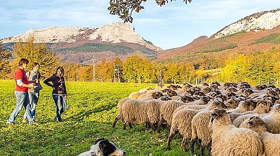Álava ofrece micología, catas y museos abiertos en Gorbea durante el puente de diciembre