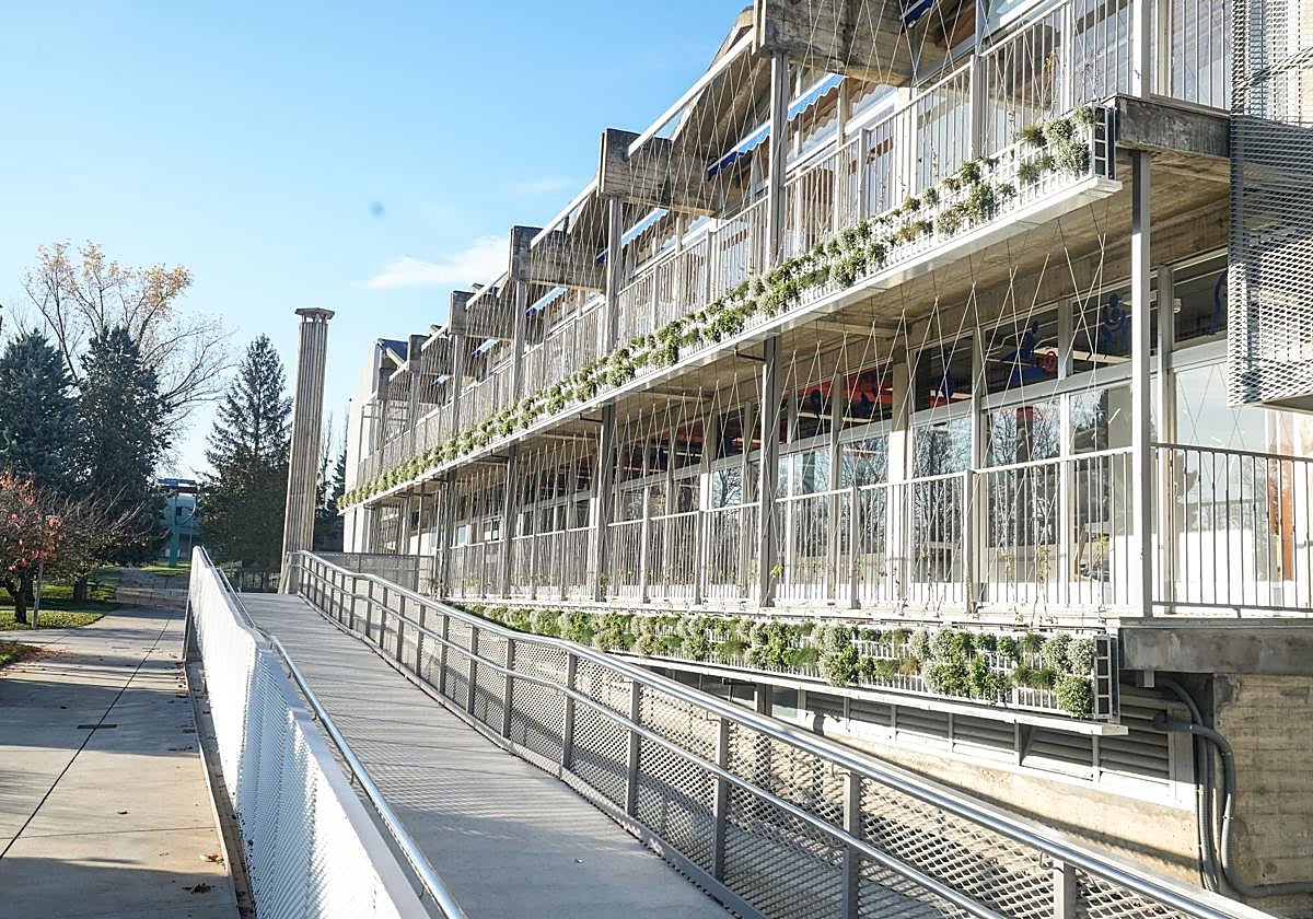 Ya se han colocado las primeras plantas que compondrán la fachada vegetal.