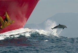 La prohibición para pescar en el Golfo de Bizkaia afectará a los grandes buques.