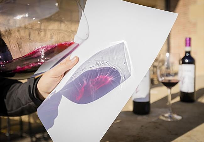 El vino joven destaca por su brillo e intensa tonalidad: rojo cereza y con ribete púrpura.