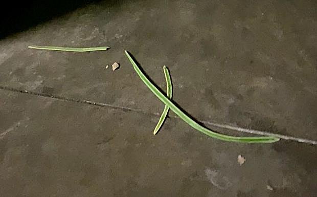 Trozos de envoltorios de cable de cobre en el garaje subterráneo.