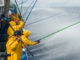 Arrantzales de bajura en un momento de la pesca selectica de bonito del norte.