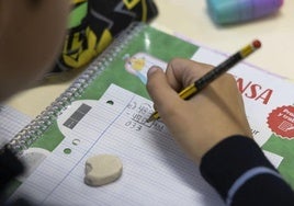 El 40% de los alumnos de Primaria tiene un nivel bajo en Matemáticas