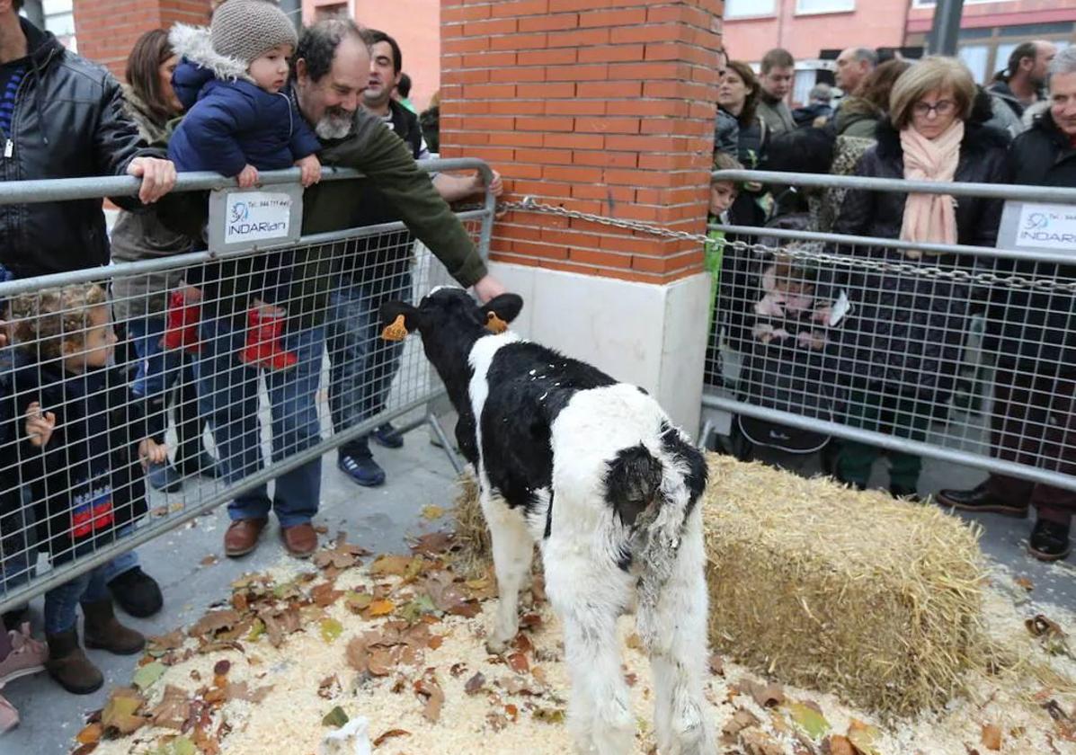 Los vecinos disfrutan de una pasada edición de la feria agrícola y ganadera de Leioa.