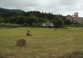 Caserío en Busturia.