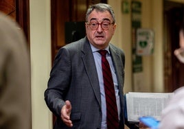 Aitor Esteba, en el Congreso.