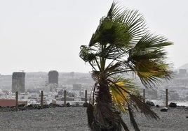 Episodio de viento en la capital grancanaria