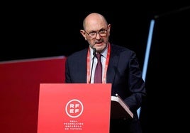 Rafael Louzán, durante la Asamblea General de la RFEF.