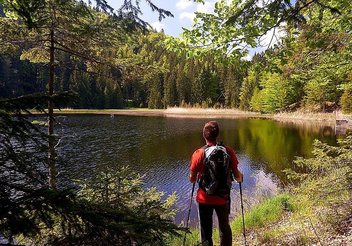 El color verde domina Eslovenia.