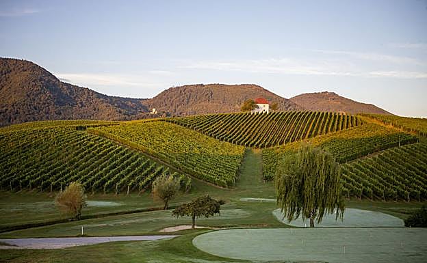 La finca vinícola Zlati Grič.