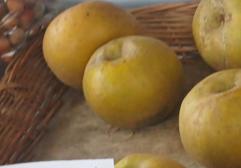 Manzana reineta gris:
