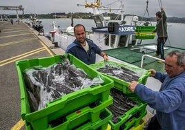 Pescadores descargan merluza de su barco.