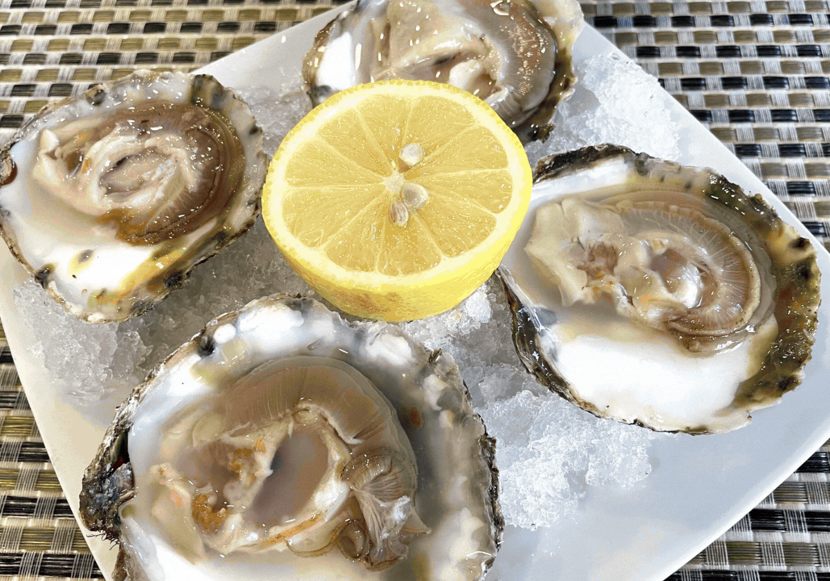 Cinco barras vizcaínas donde disfrutar de un marisco excelente