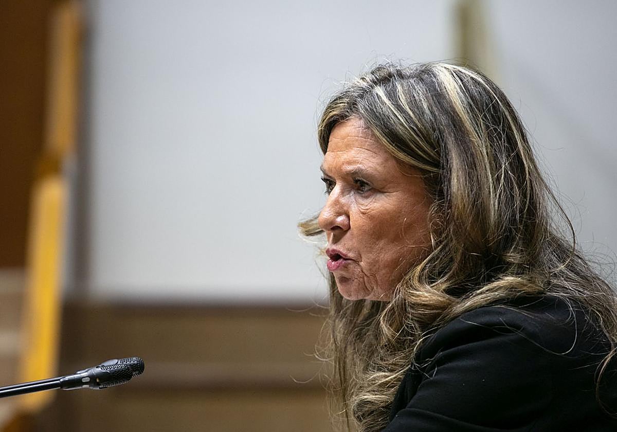 La exconsejera de Salud, Gotzone Sagardui, durante una intervención en el Parlamento vasco