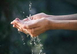 Amorebieta y Berba Lapiko promueven la importancia del agua