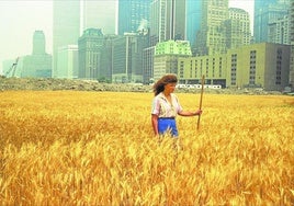'Campo de trigo-Una confrontación' (vídeo) de Agnes Denes creó una paradoja en Manhattan en 1982.