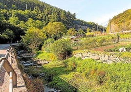 El bidegorri transcurrirá paralelo al río, en el límite de territorios, y en el lado contrario a la actual acera de paso.