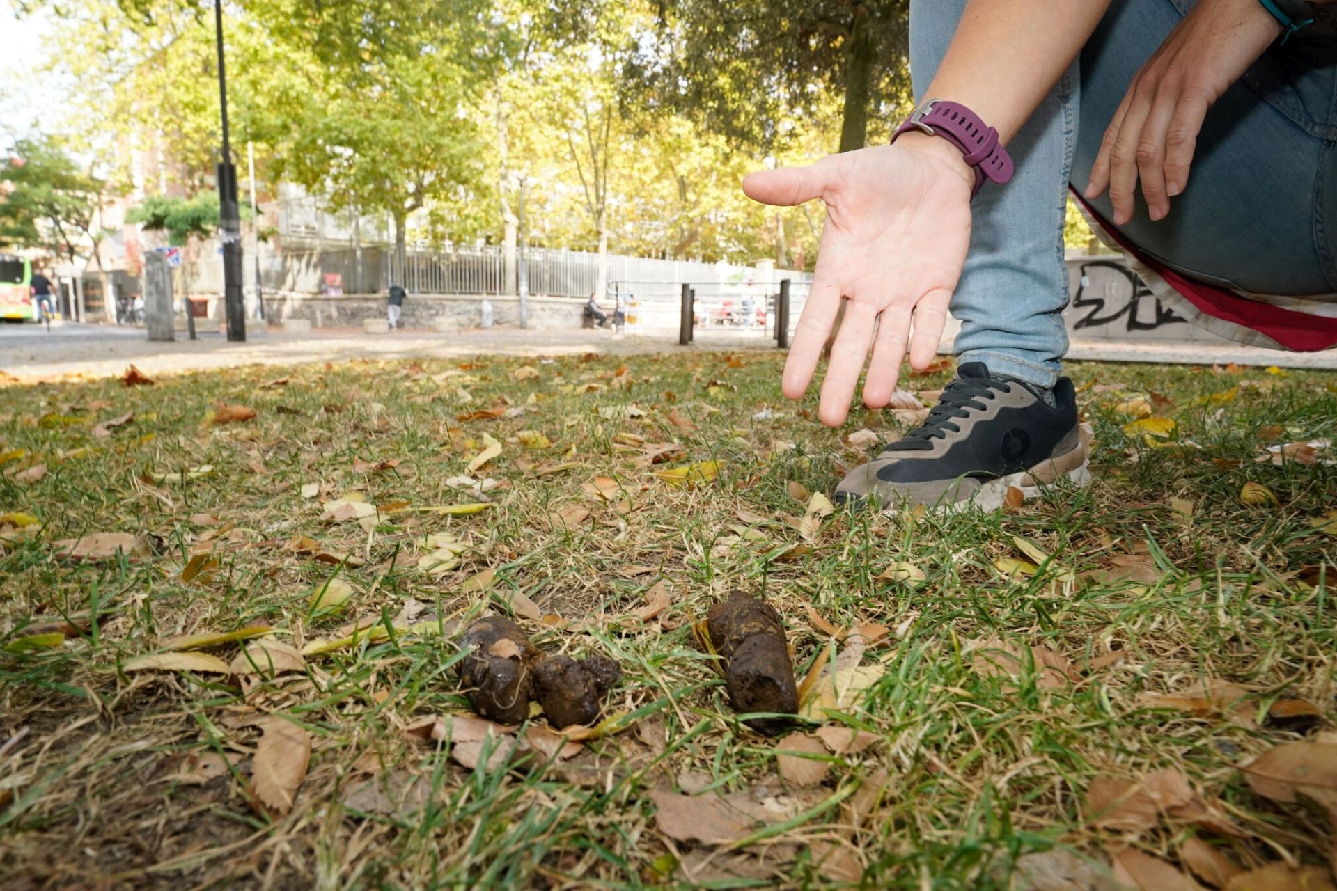 Una persona muestra excrementos de perro en un jardín de Vitoria