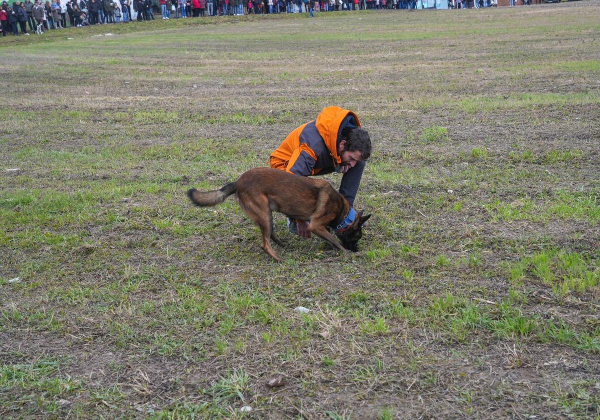 La Feria de la Trufa anima Rivabellosa