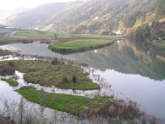 Imagen de la marismas de Airei, en la desembocadura del Artibai en Ondarroa.