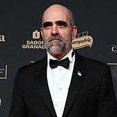 Algunos nominados e invitados a los Premios Goya lucen pins de apoyo a Palestina