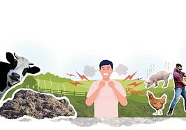 La ley contra turistas protestones a los que les molestan los ruidos y olores del pueblo