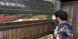 Xabi Buenetxea, técnico que controla las especies de Bolue para el Ayuntamiento de Getxo, contempla una de las charcas del humedal.