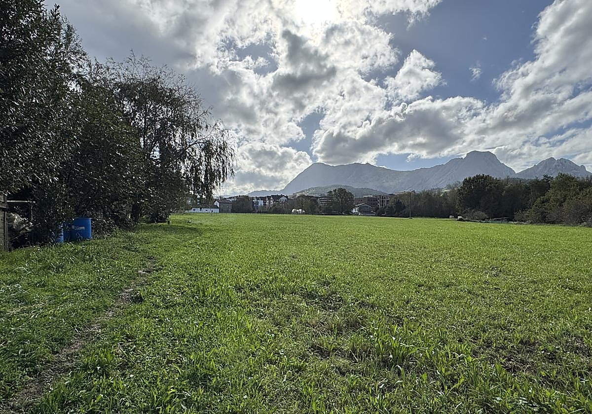 Las inscripciones estarán abiertas hasta el 21 de marzo.