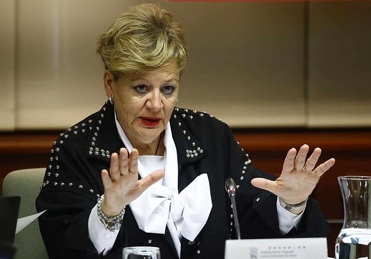 Ana del Val, durante su comparecencia en las Juntas Generales de Álava.