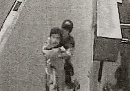 Imagen real de un 'mataleón' cometido en una calle de Vitoria similar al denunciado ayer sábado.