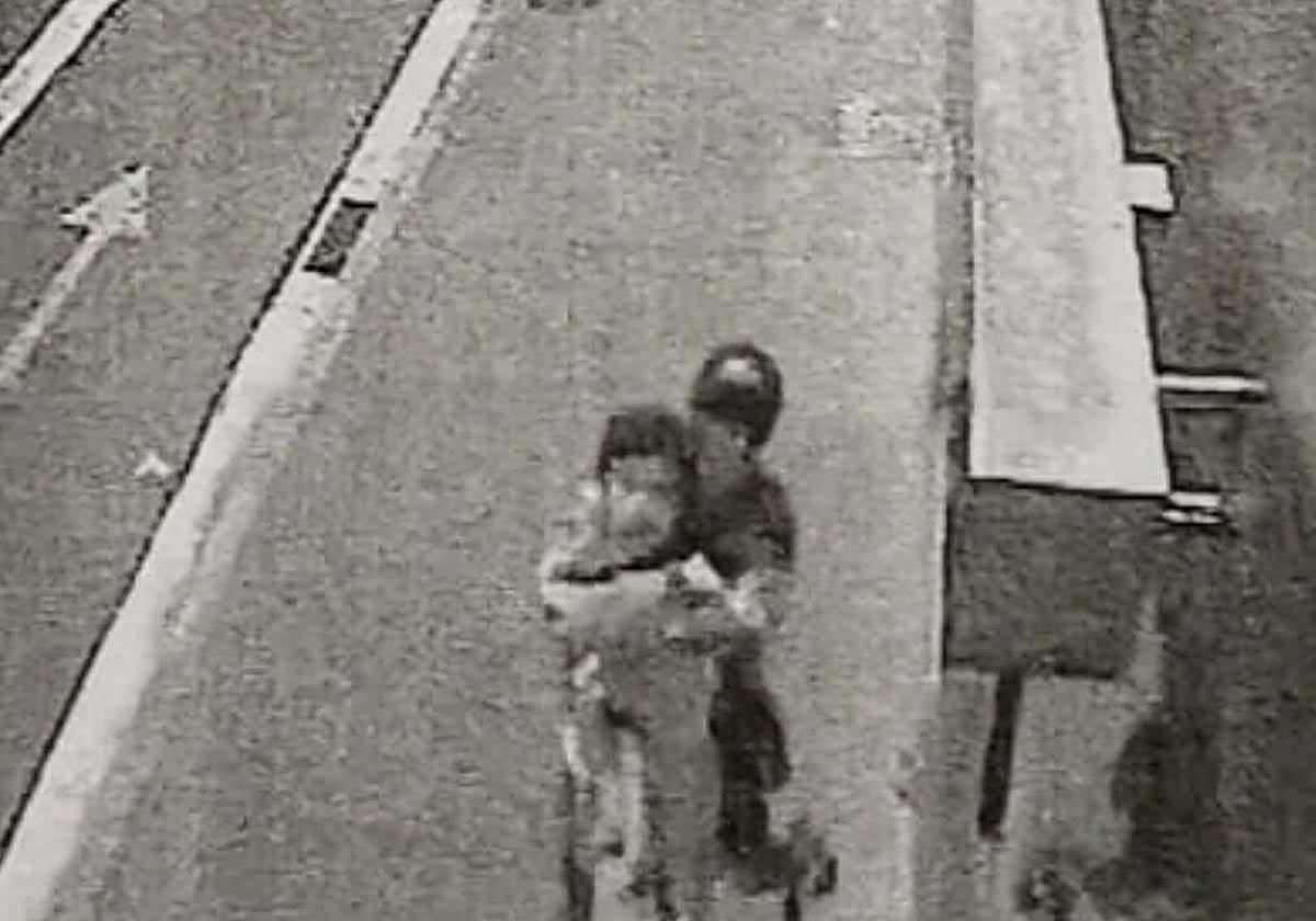 Imagen real de un 'mataleón' cometido en una calle de Vitoria similar al denunciado ayer sábado.