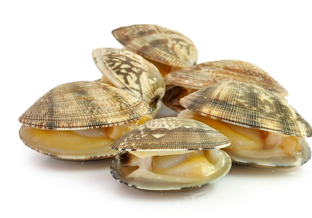 Almejas, el marisco más erótico: a la marinera o al ajillo tienen mucho sabor y proteínas
