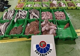 Interceptan 375 kilos de pescado en el maletero de un coche y en bolsas de basura