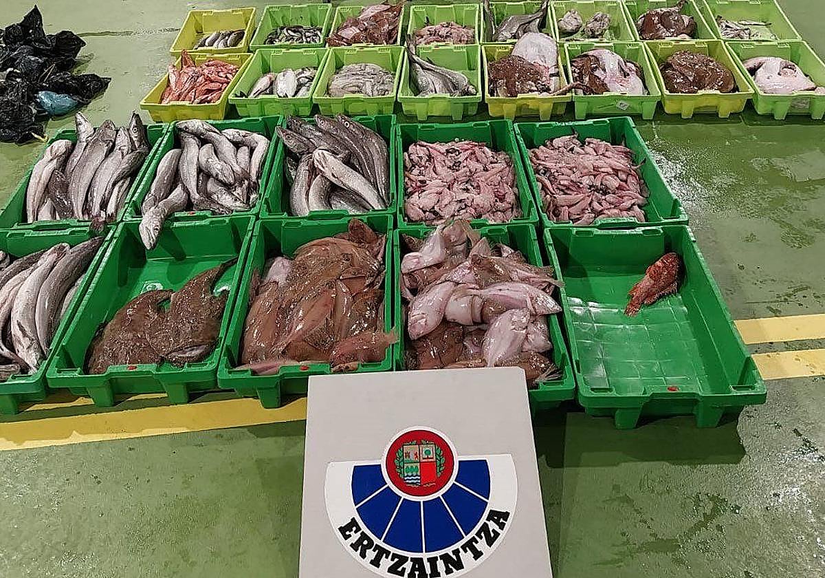 Interceptan 375 kilos de pescado en el maletero de un coche y en bolsas de basura