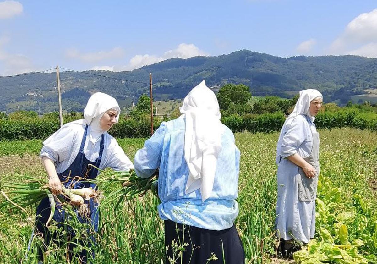 Las monjas de Belorado: «Echábamos sal al ordenador, donde aparecían imágenes del demonio»