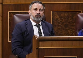 Investigación a Vox