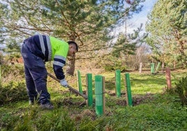 Jardineros encargados de parques y zonas verdes de Vitoria convocan una huelga indefinida