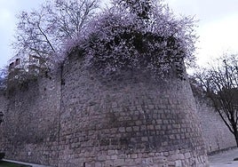 Torre de los suicidas en Burgos.