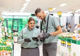 Mercadona busca a 55 trabajadores en Euskadi para la campaña de verano: estas son las condiciones