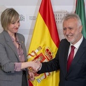 El Supremo tumba el traspaso a Euskadi de la homologación de los títulos universitarios extranjeros