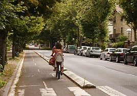 Un bidegorri de la capital alavesa.
