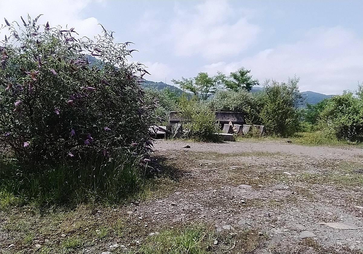 Esta zona forestal del término municipal de Ermua se ha utilizado como depósito de tierras de obras.