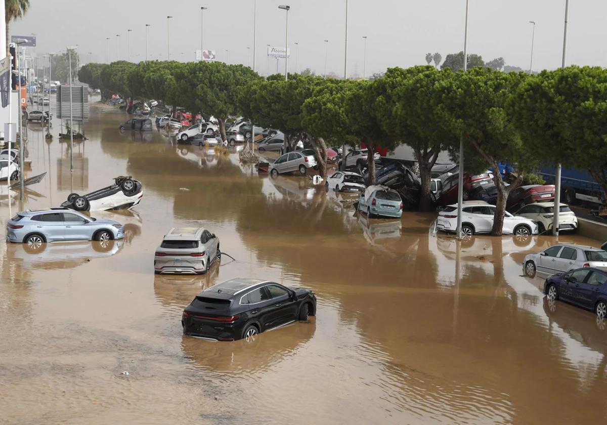 Cambio climático, dana y prevención