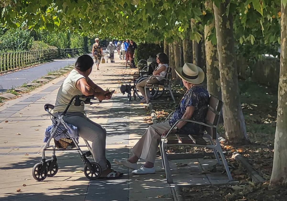 La Diputación asiste con servicios y ayudas a más de 34.000 vizcaínos dependientes