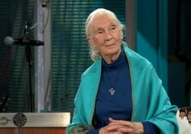 Broncano sorprende en 'La Revuelta' con Jane Goodall, la primatóloga más importante del mundo