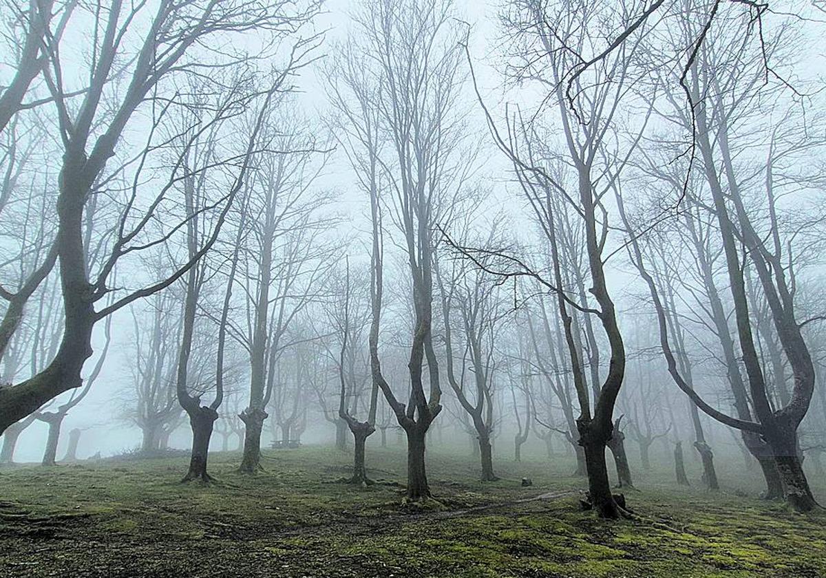 Un paraíso bajo la niebla